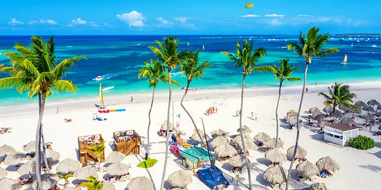 Man sieht viele Sonnenschirme, die am Strand neben vieler Palmen stehen.