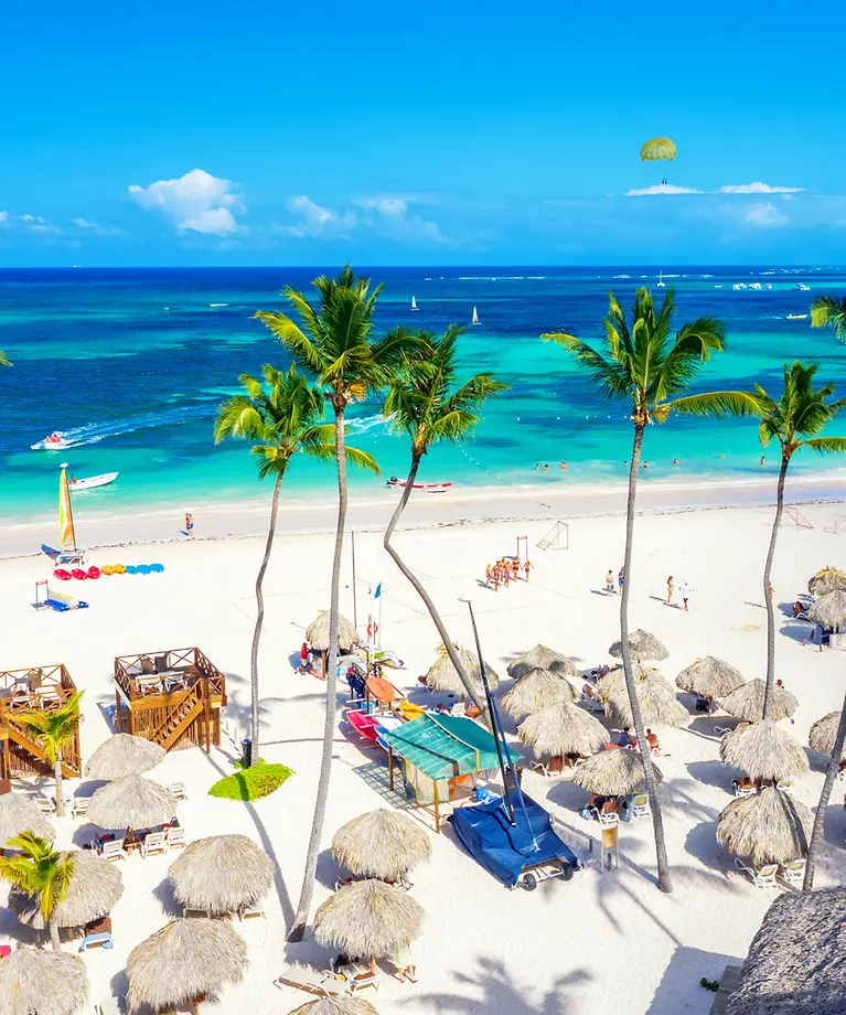 Man sieht viele Sonnenschirme, die am Strand neben vieler Palmen stehen.