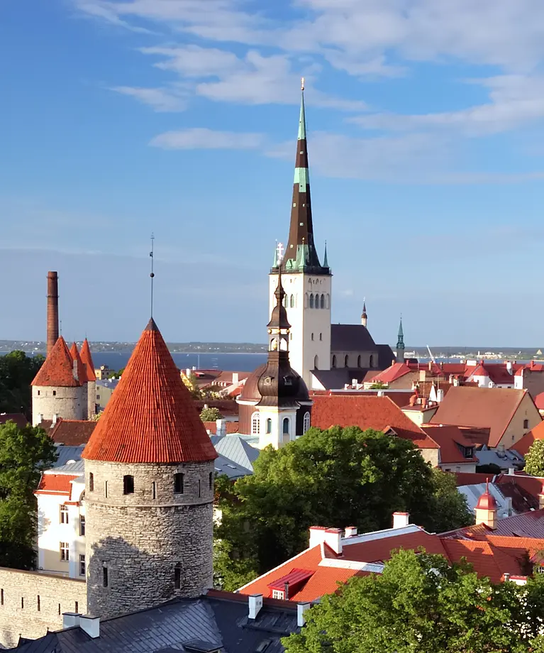 Man erkennt eine Vielzahl von roten Dächern. Im Hintergrund ist ein Kirchenturm zu sehen.