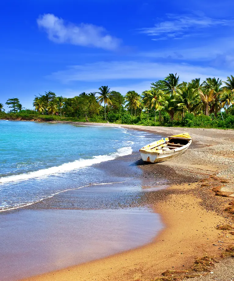 Ein kleines Boot liegt an einem Strand und im Hintergrund befinden sich Palmen.