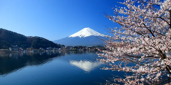 Man sieht einen See und dahinter befindet sich ein großer Vulkan mit weiß bedeckter Spitze, der Fuji heißt.