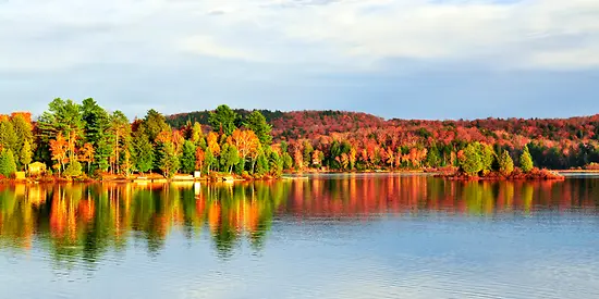 Zuerkennen ist ein Wald am See, der viele bunte Farben enthält.