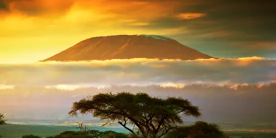 Man sieht den bekannten Kilimanjaro. Der Himmel erscheint in gelben Farben und man erkennt eine Wolkenschicht.