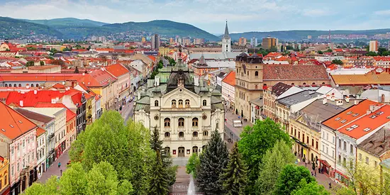 Man sieht eine Stadt von oben.