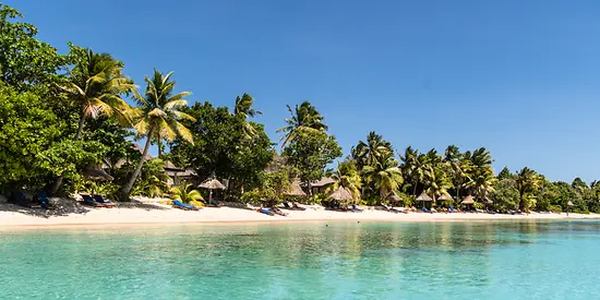 Man sieht einen Strand mit vielen Palmen und klarem Wasser.