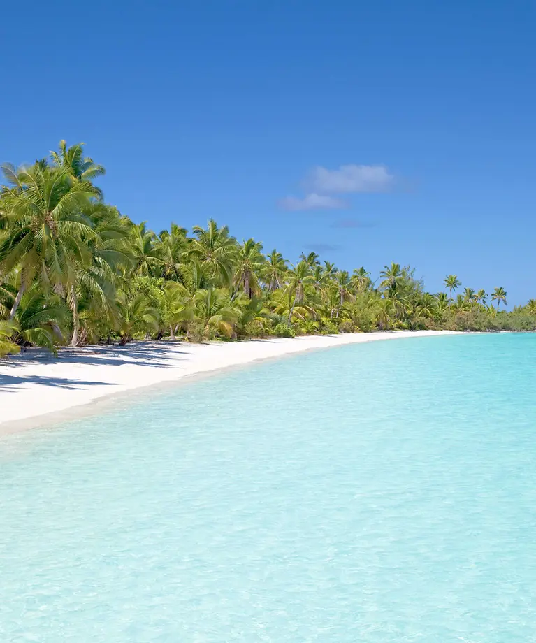 Man sieht einen weißen Strand mit vielen Palmen. Außerdem sieht man glasklares Wasser.