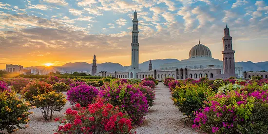 Man sieht eine große Moschee in Maskat. Vor der Moschee sind bunte Büsche gepflanzt. 