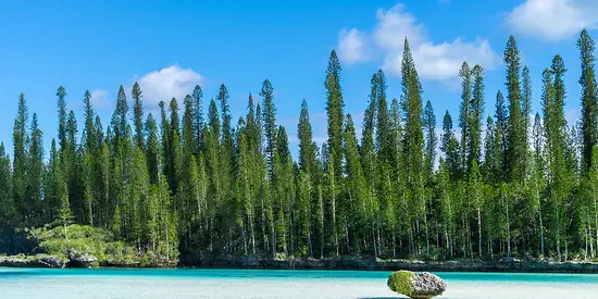 Man erkennt ein Naturschwimmbad mit türkisem Wasser und im Hintergrund ist ein Wald zu sehen.