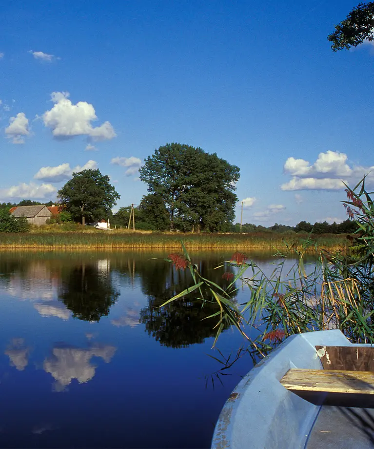 Man sieht ein See. Im Hintergrund sieht man grüne Bäume und ein Haus.